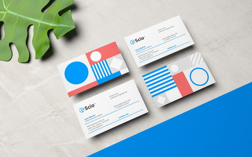 Scio軟件開發(fā)品牌形象設(shè)計(jì) 平面設(shè)計(jì)的核心與價(jià)值