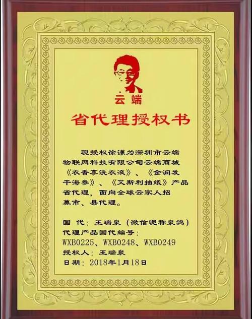 云端商城省代理授權與商品信息咨詢服務深度解析